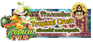 รีวิวเกมสล็อต Tropical Crush แตกง่ายทุกสปิน