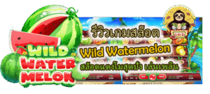 รีวิวเกมสล็อต Wild Watermelon เล่นเพลิน