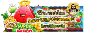 รีวิวเกมสล็อต Super Wild Watermelon ธีมผลไม้สุดสดใส
